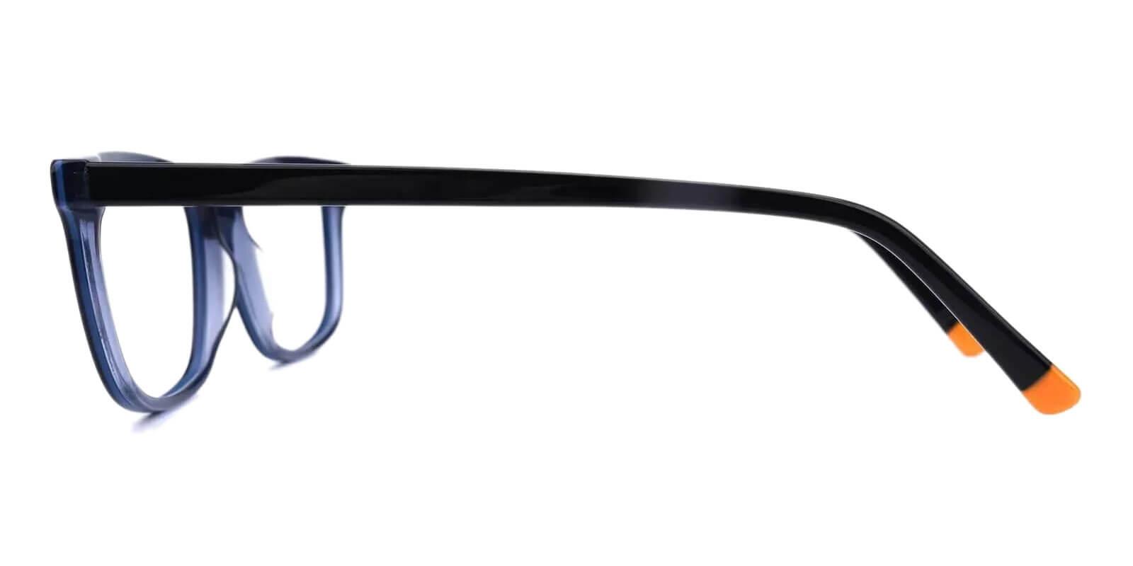 Leupp Corner Blue Acetate Eyeglasses , SpringHinges , UniversalBridgeFit Frames from ABBE Glasses