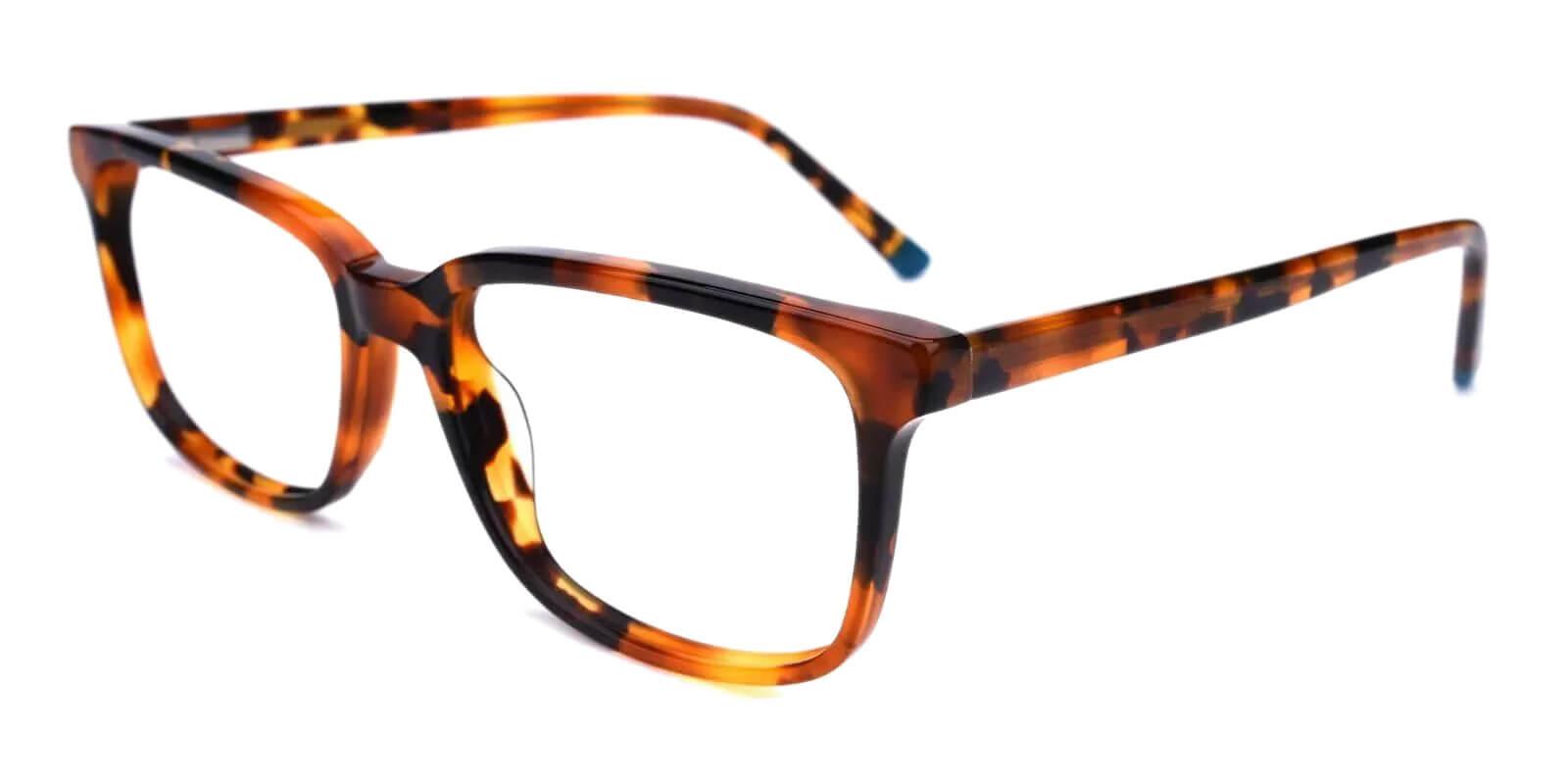 Leupp Corner Tortoise Acetate Eyeglasses , SpringHinges , UniversalBridgeFit Frames from ABBE Glasses