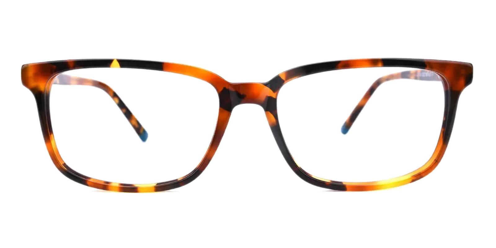 Leupp Corner Tortoise Acetate Eyeglasses , SpringHinges , UniversalBridgeFit Frames from ABBE Glasses