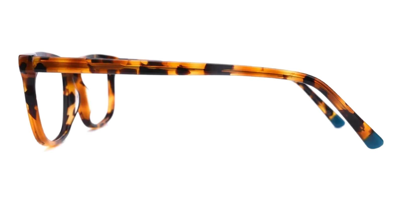 Leupp Corner Tortoise Acetate Eyeglasses , SpringHinges , UniversalBridgeFit Frames from ABBE Glasses