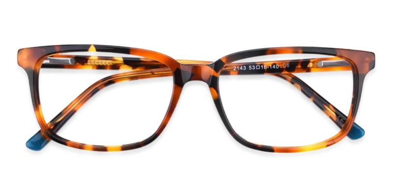 Leupp Corner Tortoise  Frames from ABBE Glasses