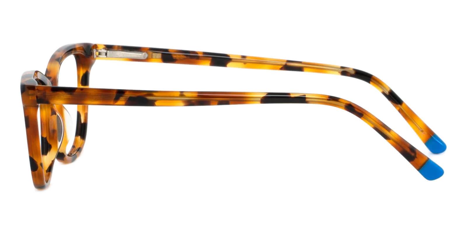 Zion Leopard Acetate Eyeglasses , SpringHinges , UniversalBridgeFit Frames from ABBE Glasses