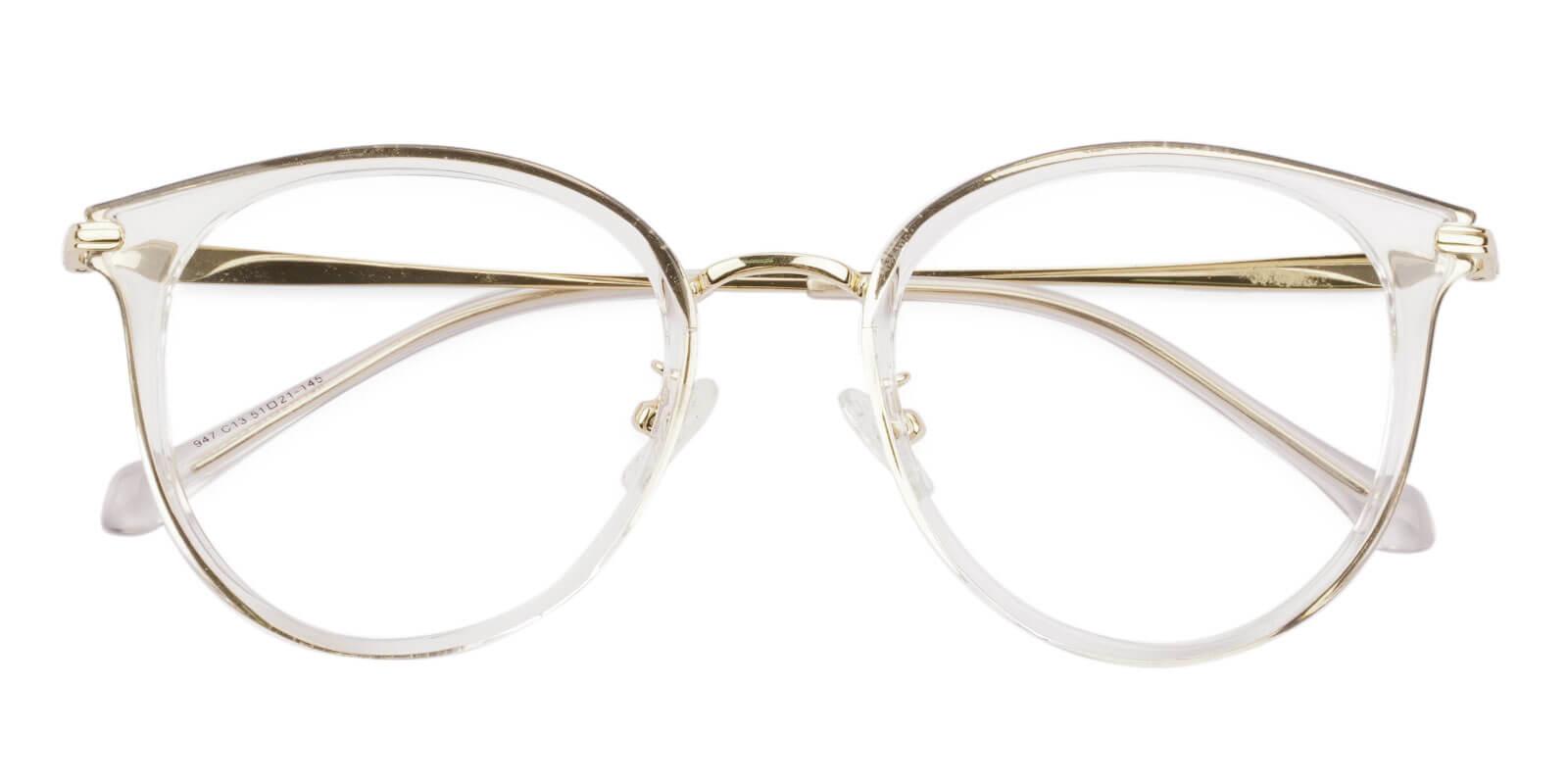 Naomi Translucent Metal , TR Eyeglasses , NosePads Frames from ABBE Glasses