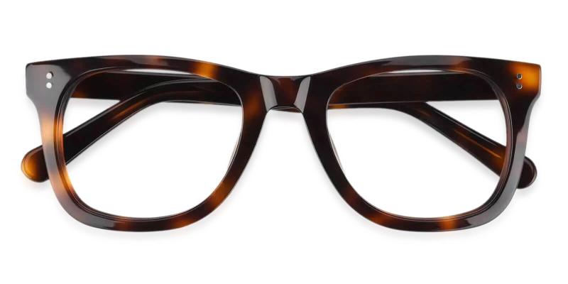 Dean Tortoise  Frames from ABBE Glasses