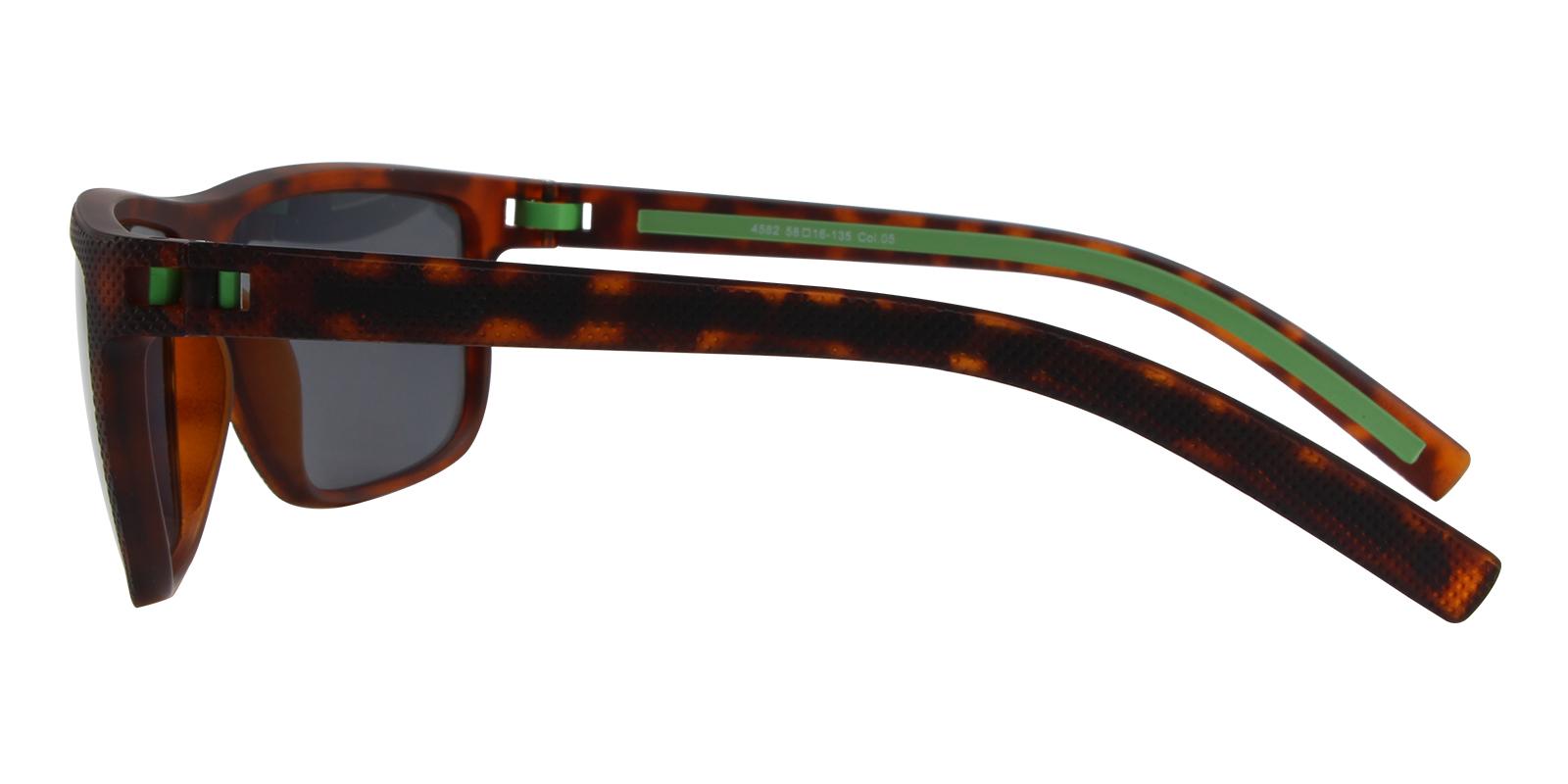 Tropic Tortoise TR SpringHinges , Sunglasses , UniversalBridgeFit Frames from ABBE Glasses