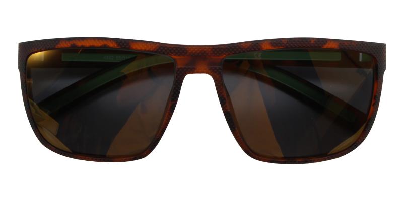 Tropic Tortoise  Frames from ABBE Glasses