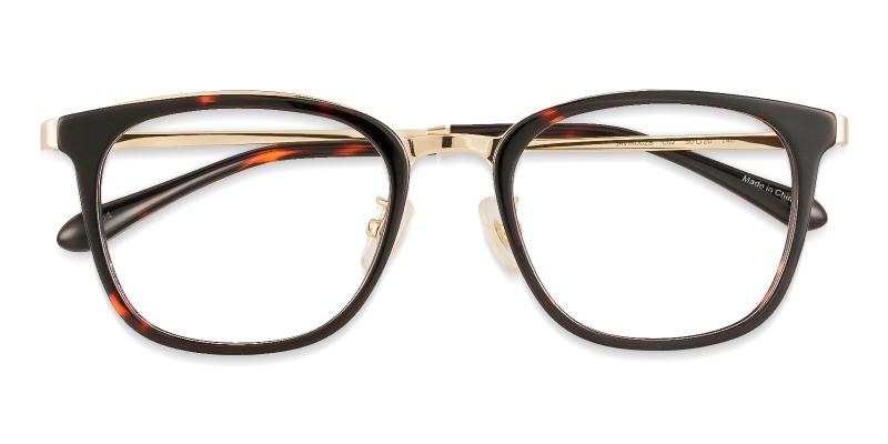 Explorer Tortoise  Frames from ABBE Glasses