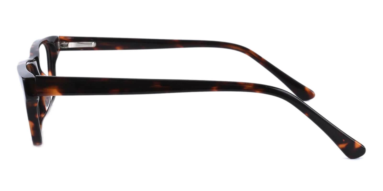 Villeneuve Tortoise TR Eyeglasses , SpringHinges , UniversalBridgeFit Frames from ABBE Glasses