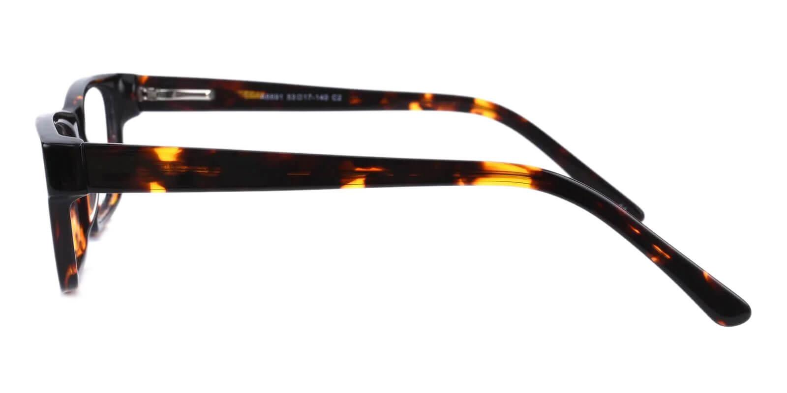 Discover Tortoise Acetate Eyeglasses , SpringHinges , UniversalBridgeFit Frames from ABBE Glasses