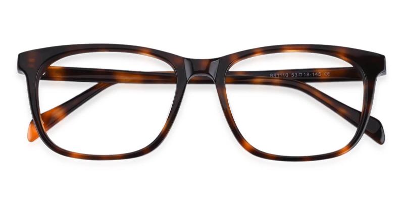 Plaza Tortoise  Frames from ABBE Glasses