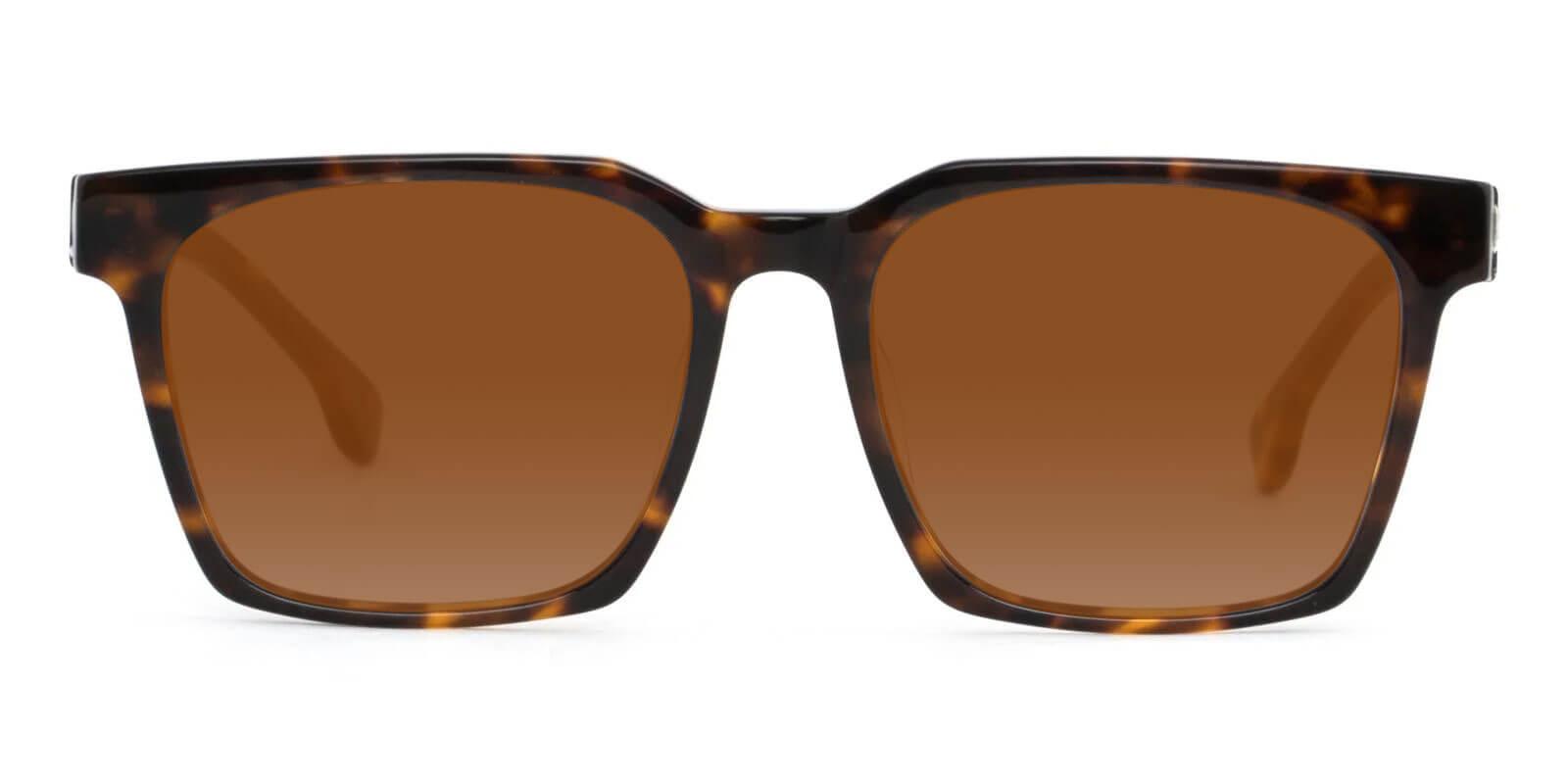 Nala Tortoise Acetate SpringHinges , Sunglasses , UniversalBridgeFit Frames from ABBE Glasses