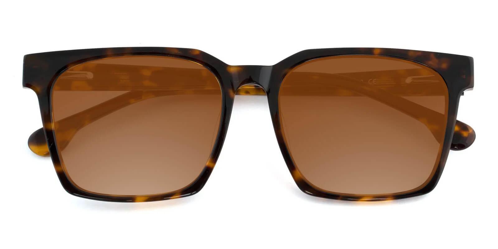 Nala Tortoise Acetate SpringHinges , Sunglasses , UniversalBridgeFit Frames from ABBE Glasses