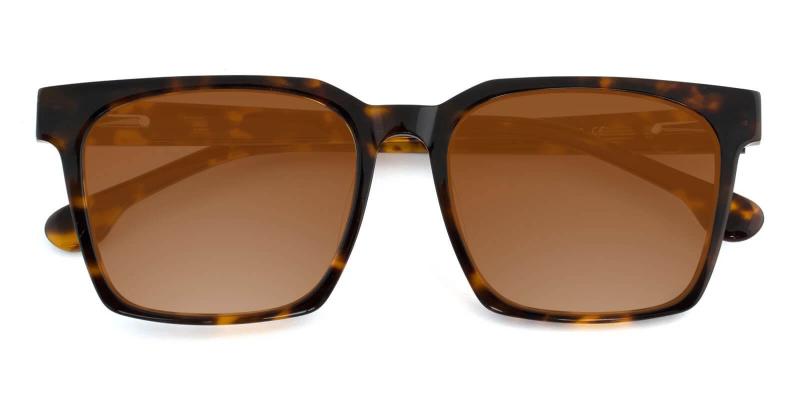 Nala Tortoise  Frames from ABBE Glasses