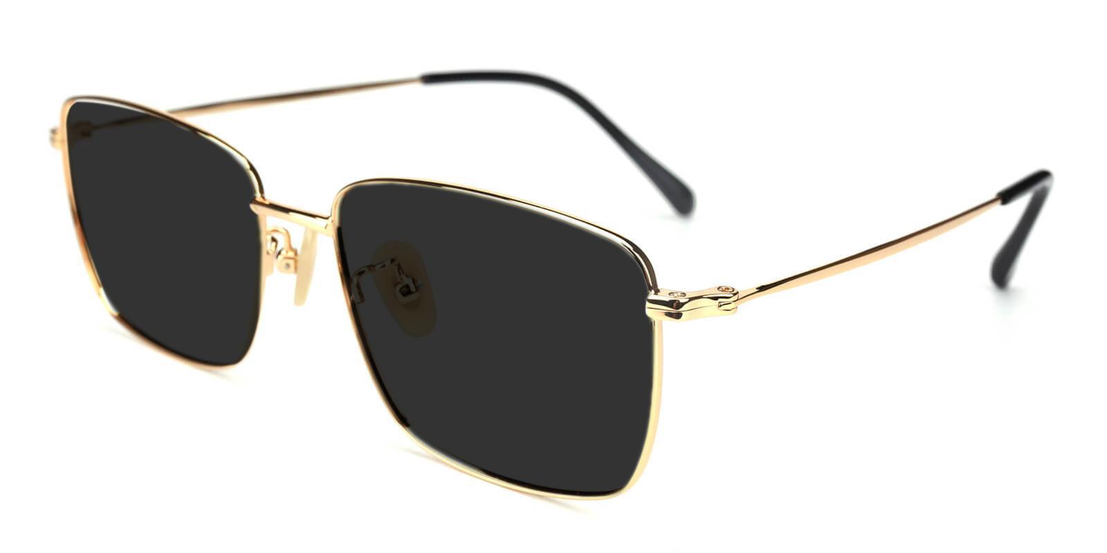 Synapse Gold Titanium Sunglasses , Lightweight , NosePads Frames from ABBE Glasses