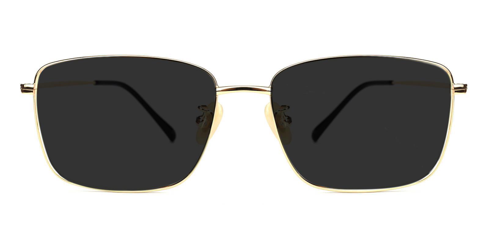 Synapse Gold Titanium Sunglasses , Lightweight , NosePads Frames from ABBE Glasses