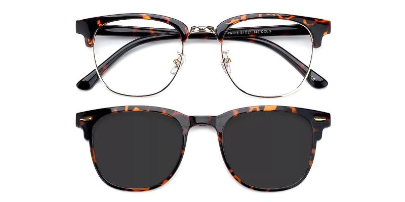 Grande Clip-On Tortoise  Frames from ABBE Glasses