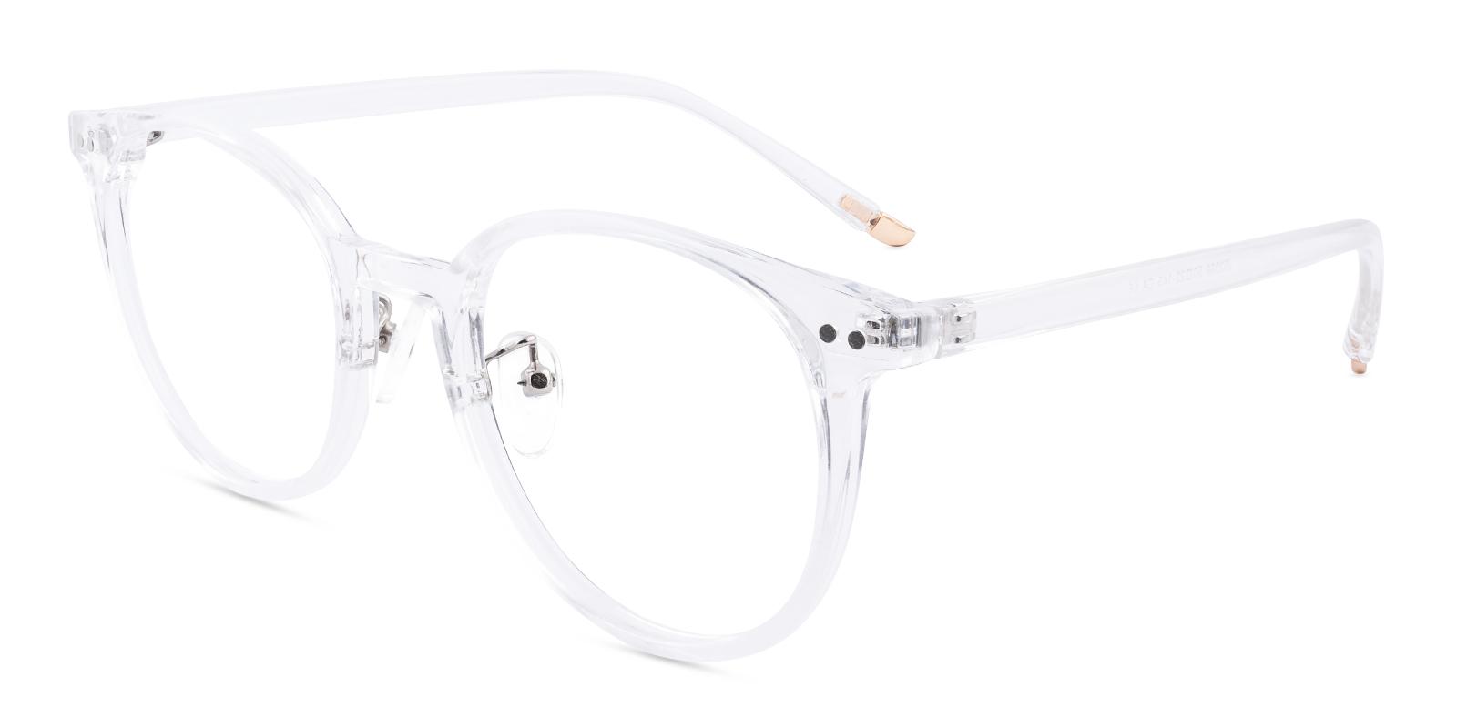 Salate Fclear Plastic Eyeglasses , NosePads Frames from ABBE Glasses